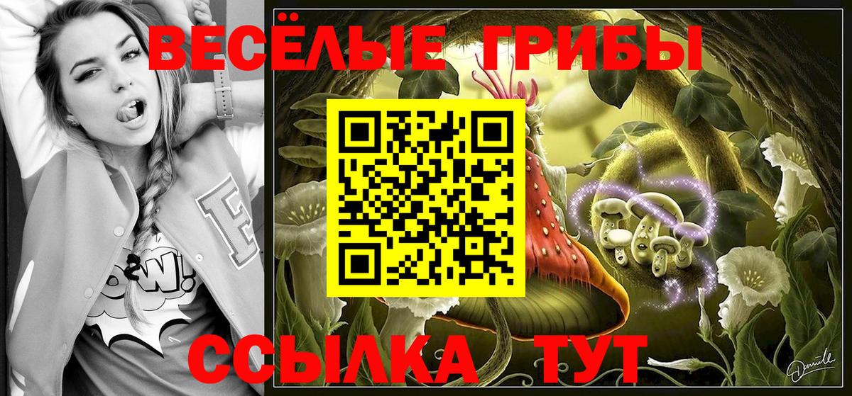 Сызрань  Галлюциногенные грибы ЛСД  Вход с VPN 